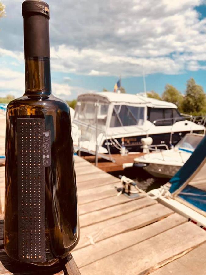 Casa Pescarilor Hotel Lunca  Eksteriør billede